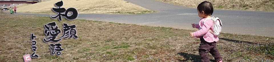 スライドイメージ4